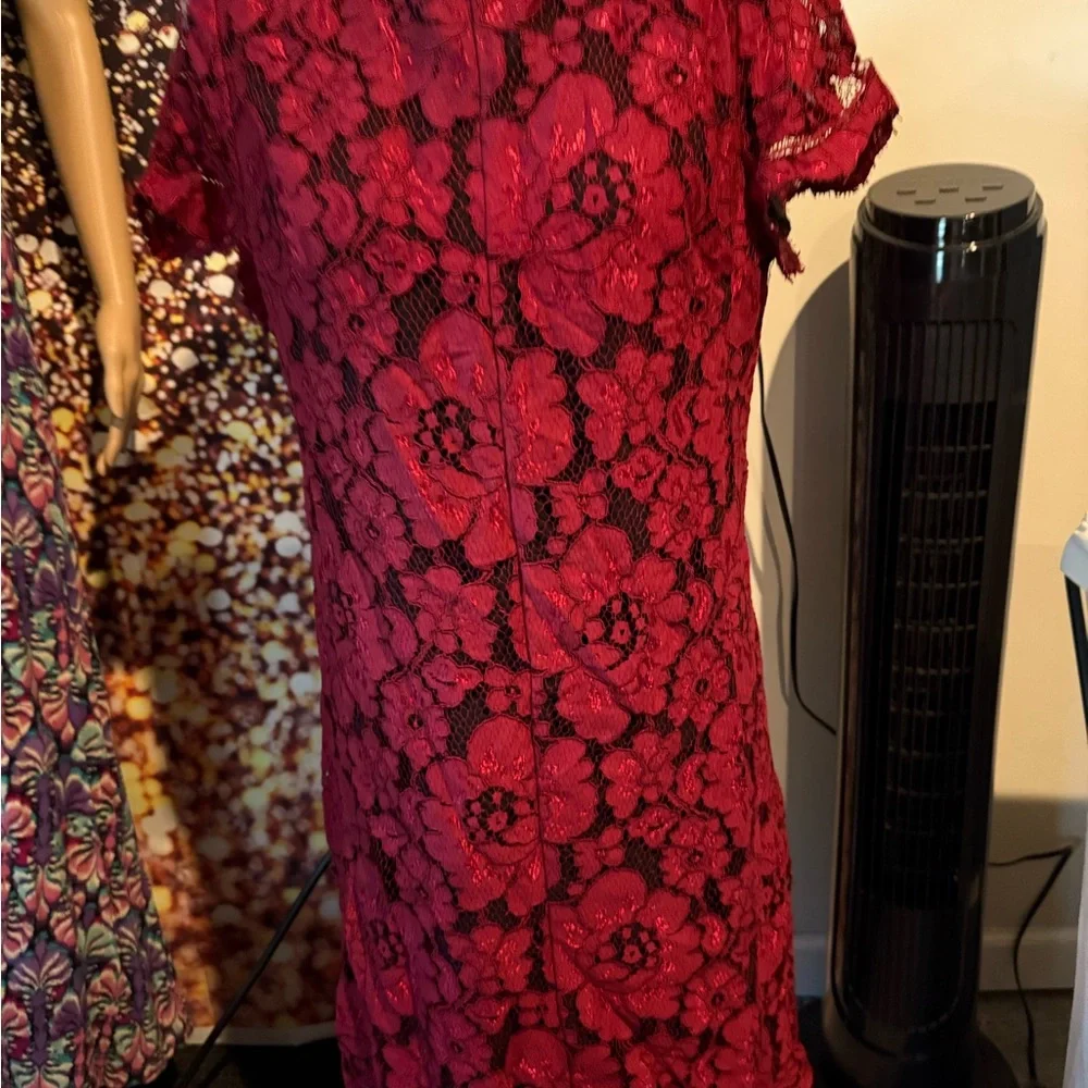 ANTONIO MELANI Red Lace Midi Dress - Picture 3 of 9